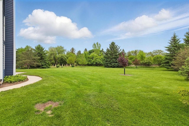 628 Sedge Meadow Ct, Summit, WI 53066 - view of green lawn