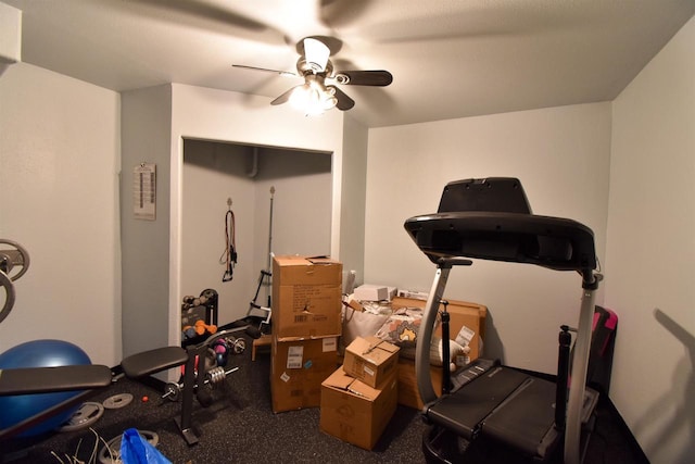 3001 Revere Rd, Plover, WI 54406 - exercise area featuring ceiling fan