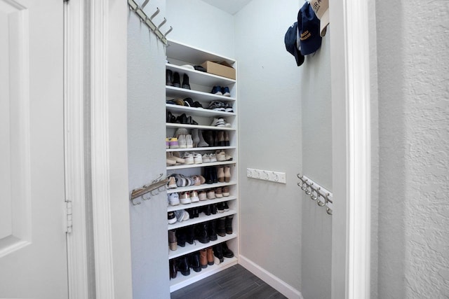 N53W16789 Prairie Dawn, Menomonee Falls, WI 53051 - spacious closet featuring dark wood-type flooring