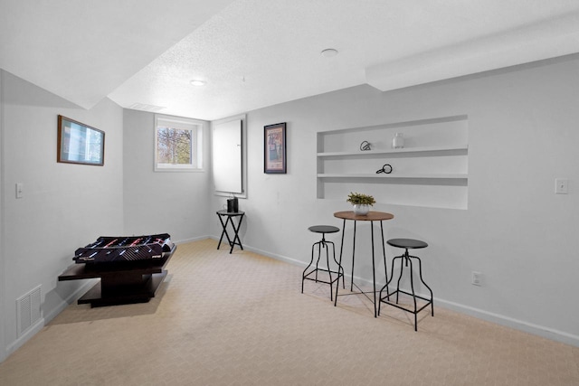 N53W16789 Prairie Dawn, Menomonee Falls, WI 53051 - living area with carpet, baseboards, built in shelves, and a textured ceiling