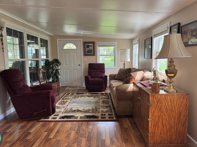 463 Aspen Way, Edgerton, WI 53534 - living room featuring wood finished floors and baseboards