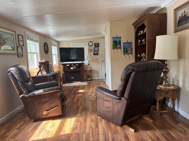 463 Aspen Way, Edgerton, WI 53534 - living room featuring wood finished floors, baseboards, and a fireplace