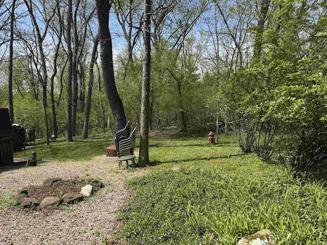 463 Aspen Way, Edgerton, WI 53534 - view of yard