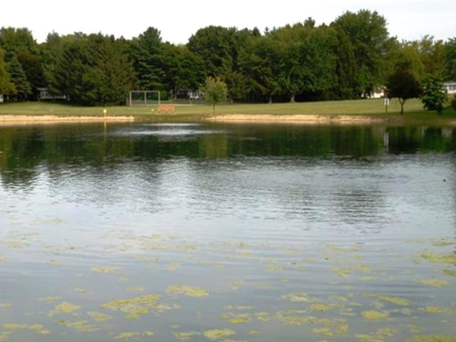 463 Aspen Way, Edgerton, WI 53534 - water view with a heavily wooded area