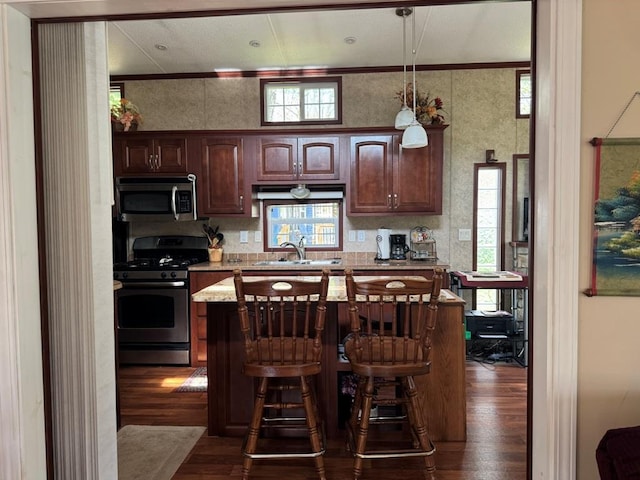 463 Aspen Way, Edgerton, WI 53534 - kitchen featuring stainless steel appliances, dark wood-type flooring, a sink, a kitchen bar, and plenty of natural light