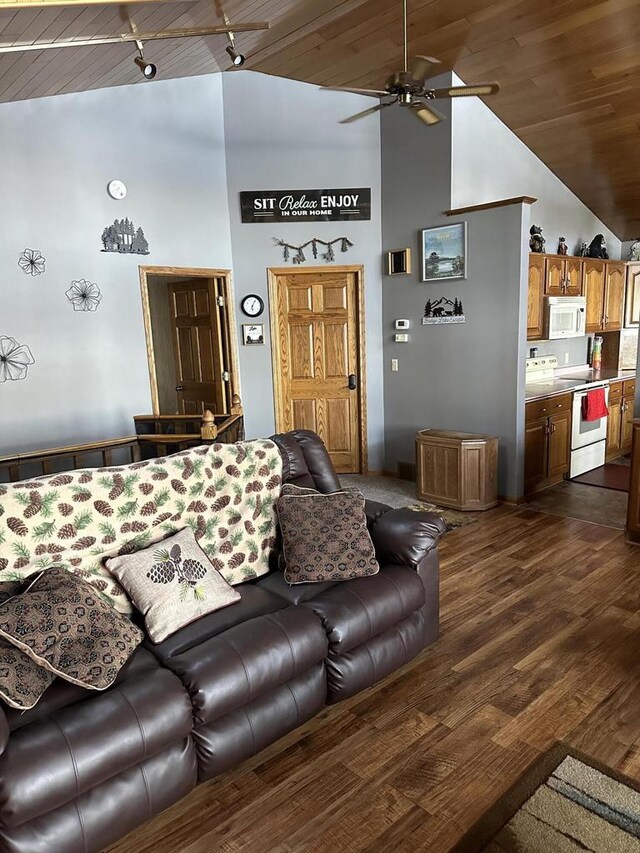 N11894 E Deer Lake Rd, Tomahawk, WI 54487 - living area featuring high vaulted ceiling, ceiling fan, track lighting, wooden ceiling, and dark wood-style flooring