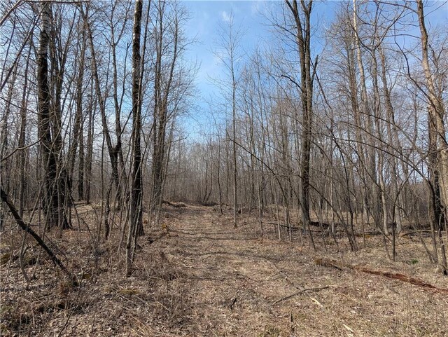 00 Skyline Dr, Stanley, WI 54768