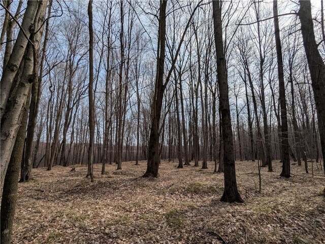 00 Skyline Dr, Stanley, WI 54768