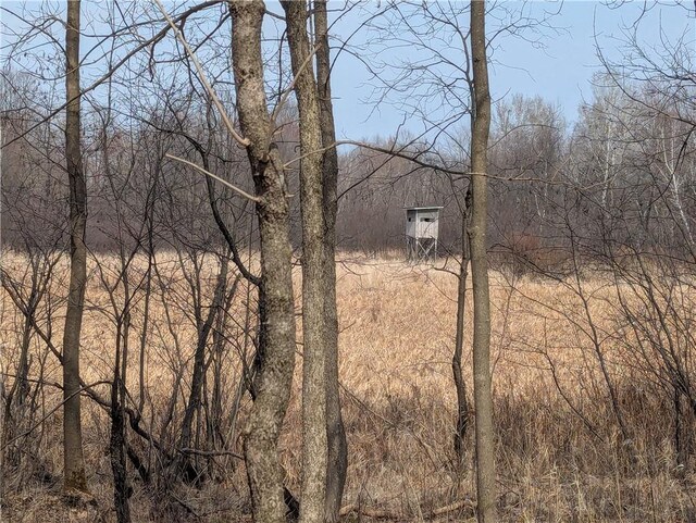 00 Skyline Dr, Stanley, WI 54768