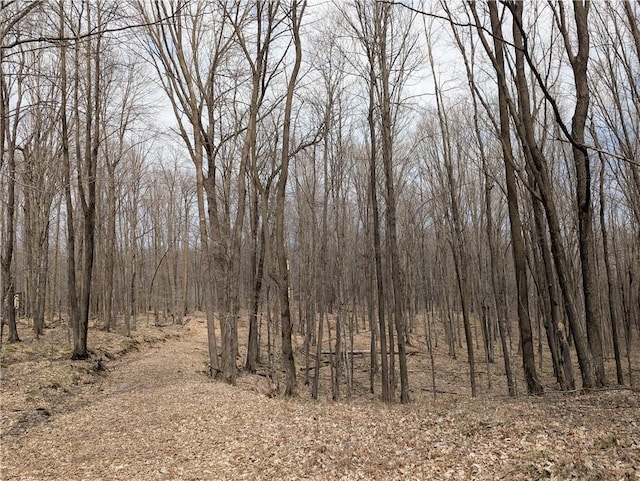00 Skyline Dr, Stanley, WI 54768