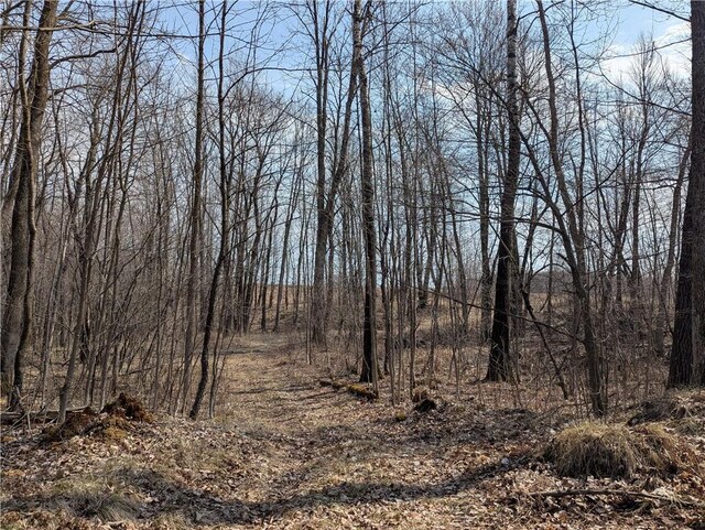 00 Skyline Dr, Stanley, WI 54768