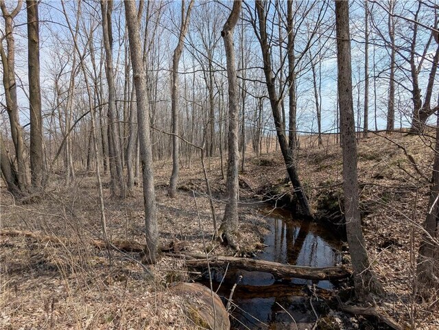 00 Skyline Dr, Stanley, WI 54768