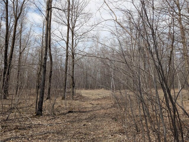00 Skyline Dr, Stanley, WI 54768