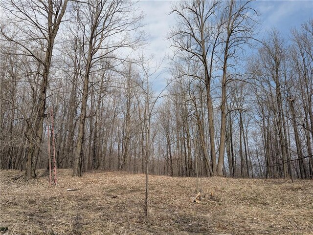 00 Skyline Dr, Stanley, WI 54768