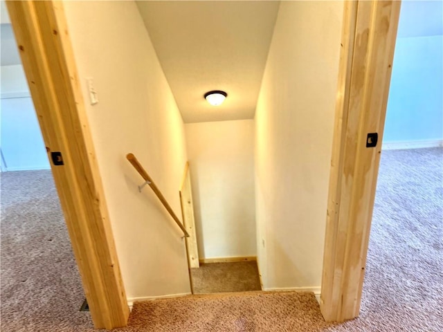 208 N 7th St, Cameron, WI 54822 - stairs with carpet flooring and baseboards