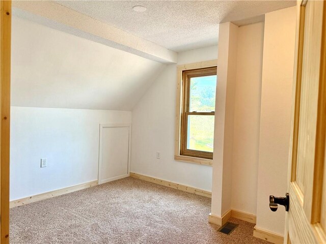 208 N 7th St, Cameron, WI 54822 - bonus room with vaulted ceiling, carpet flooring, a textured ceiling, and baseboards
