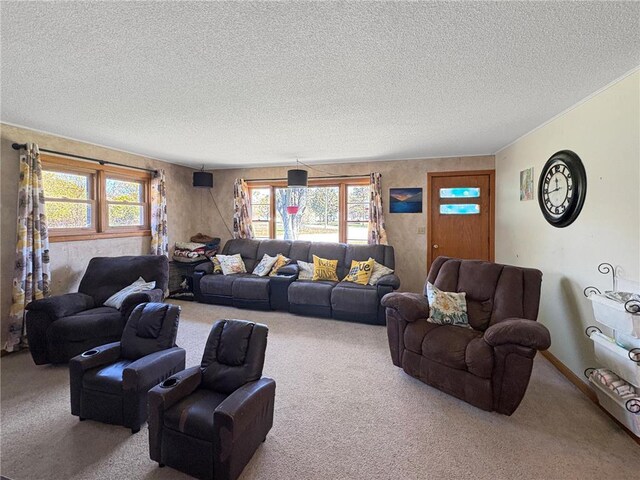 501 S 8th St, Luck, WI 54853 - carpeted living area with a textured ceiling
