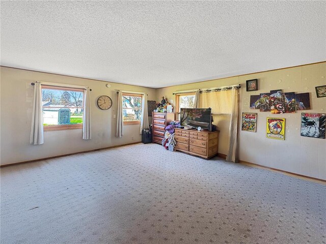 501 S 8th St, Luck, WI 54853 - interior space with a textured ceiling, carpet flooring, and baseboards