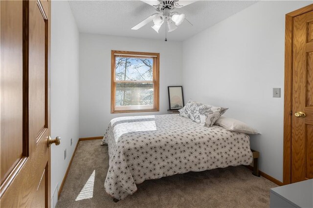 29825 Minerva Cir, Danbury, WI 54830 - carpeted bedroom with baseboards and ceiling fan