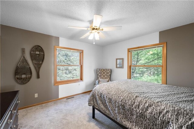 29825 Minerva Cir, Danbury, WI 54830 - bedroom with multiple windows, carpet floors, baseboards, a textured ceiling, and a ceiling fan
