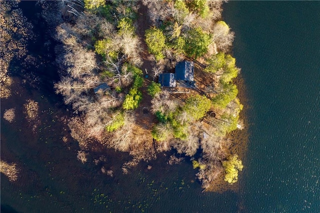 29825 Minerva Cir, Danbury, WI 54830 - drone / aerial view