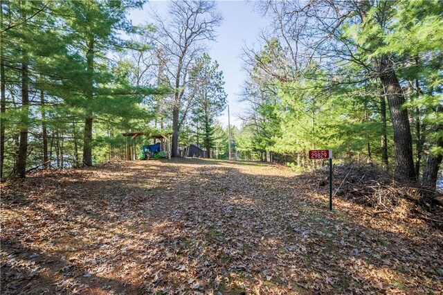 29825 Minerva Cir, Danbury, WI 54830 - view of yard