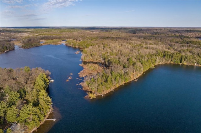 29829 Minerva Cir, Danbury, WI 54830 - aerial view of property's location featuring a heavily wooded area and a large body of water