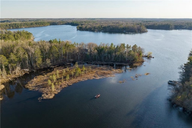 29829 Minerva Cir, Danbury, WI 54830 - drone / aerial view of a large body of water and a forest