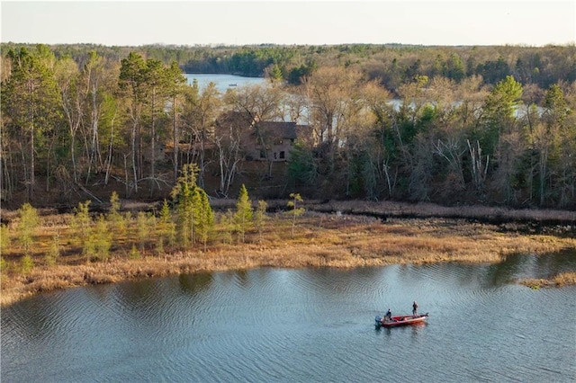 29829 Minerva Cir, Danbury, WI 54830 - water view with a forest