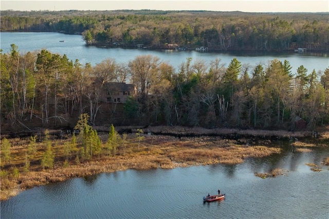 29829 Minerva Cir, Danbury, WI 54830 - water view with a forest