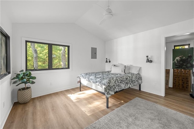29829 Minerva Cir, Danbury, WI 54830 - bedroom featuring electric panel, vaulted ceiling, wood finished floors, and a ceiling fan