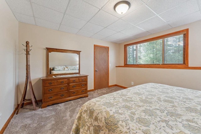 E9510 Oak Hill Rd, Wisconsin Dells, WI 53965 - carpeted bedroom with a paneled ceiling and baseboards