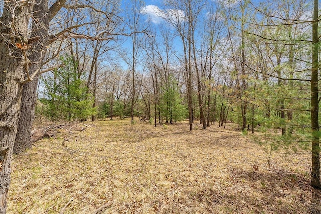 E9510 Oak Hill Rd, Wisconsin Dells, WI 53965 - view of wooded area