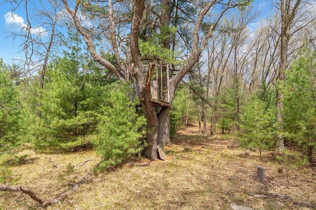 E9510 Oak Hill Rd, Wisconsin Dells, WI 53965 - view of tree filled area