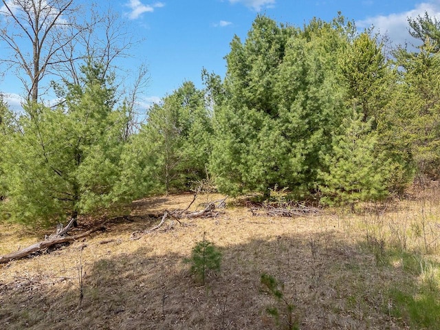 E9510 Oak Hill Rd, Wisconsin Dells, WI 53965 - view of wooded area