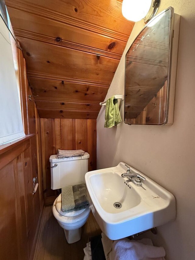 1263 N Parker Dr, Janesville, WI 53545 - bathroom with a sink, toilet, vaulted ceiling, wooden walls, and wood finished floors