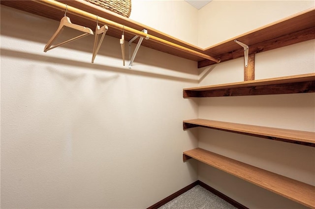 spacious closet with carpet flooring