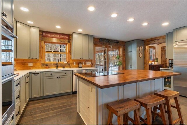 744 50th Ave, Clear Lake, WI 54005 - kitchen featuring wooden counters, a sink, stainless steel appliances, a kitchen bar, and recessed lighting