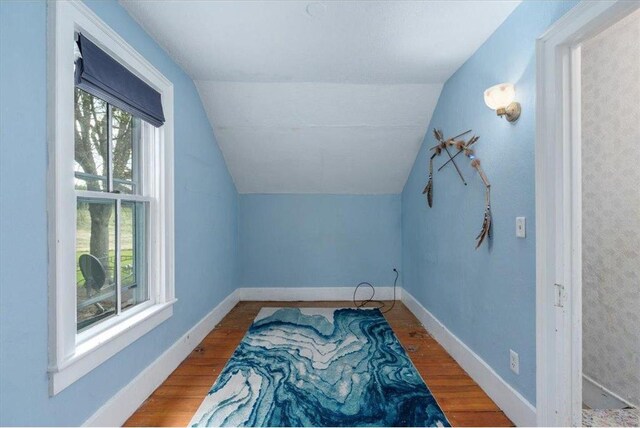 6300 Painter Rd, Mound, MN 55364 - bonus room with wood finished floors, lofted ceiling, and baseboards