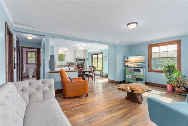 6300 Painter Rd, Mound, MN 55364 - living area featuring light wood finished floors, baseboards, and ornamental molding