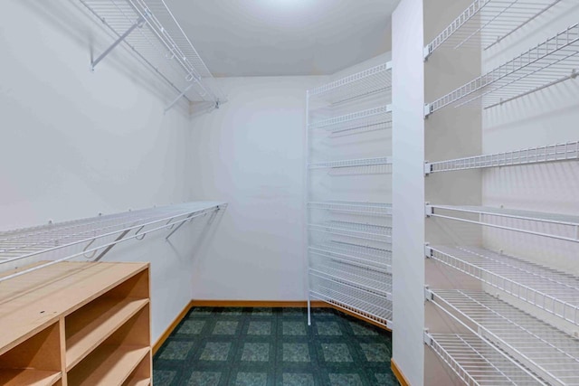 8200 43rd Ave, Kenosha, WI 53142 - view of walk in closet