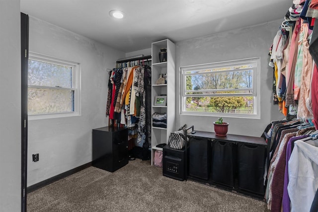 3500 W Justin St, Appleton, WI 54914 - walk in closet with carpet flooring