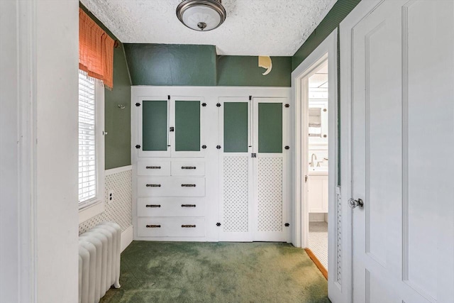 215 W Walworth St, Elkhorn, WI 53121 - corridor with radiator heating unit, carpet flooring, plenty of natural light, a sink, and a textured ceiling
