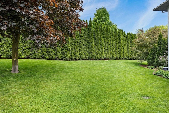 956 Kingston Cir, Sun Prairie, WI 53590 - view of grassy yard