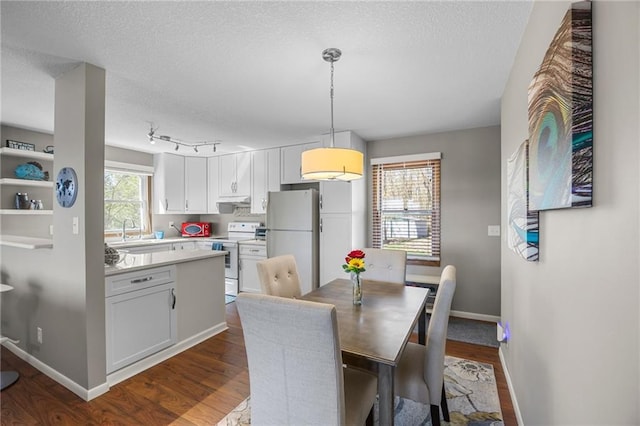 1141 134th Ave, Amery, WI 54001 - dining area featuring dark wood finished floors, a textured ceiling, and baseboards