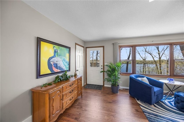 1141 134th Ave, Amery, WI 54001 - living area featuring a textured ceiling, wood finished floors, baseboards, and a water view