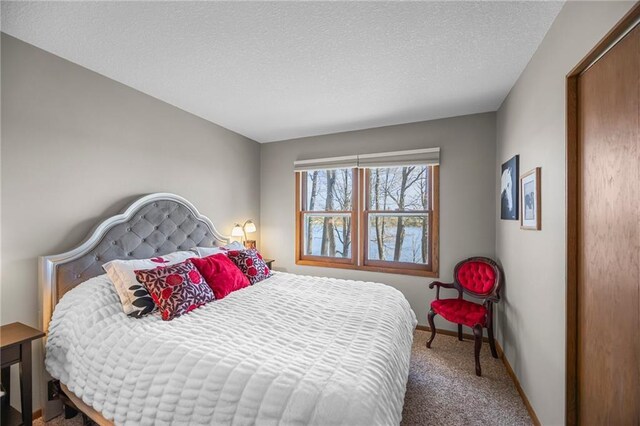 1141 134th Ave, Amery, WI 54001 - bedroom with carpet, baseboards, and a textured ceiling