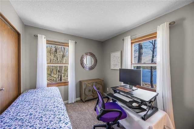 1141 134th Ave, Amery, WI 54001 - bedroom featuring light colored carpet, a textured ceiling, a closet, baseboards, and an office area