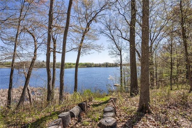 1141 134th Ave, Amery, WI 54001 - water view