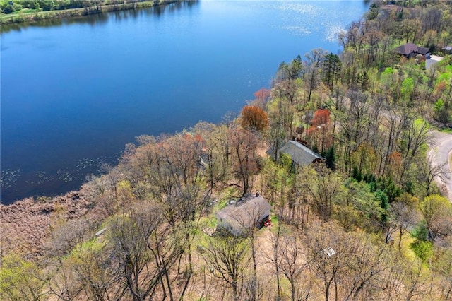 1141 134th Ave, Amery, WI 54001 - aerial overview of property's location featuring a large body of water and a forest